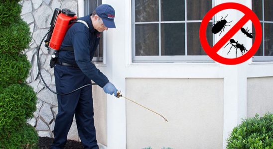 Altıevler Dezenfeksiyon böcek ilaçlama ve haşere kontrolü — ilaclama-tr.com